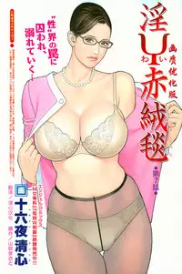 [Izayoi Seishin] In Y Akajuutan Ch. 1-9 [Chinese] [清心汉化]