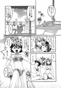 [Himehachi] Radical Vector