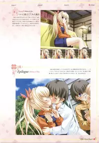 clover heart's visual fan book