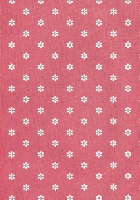 ぼくのせんせい