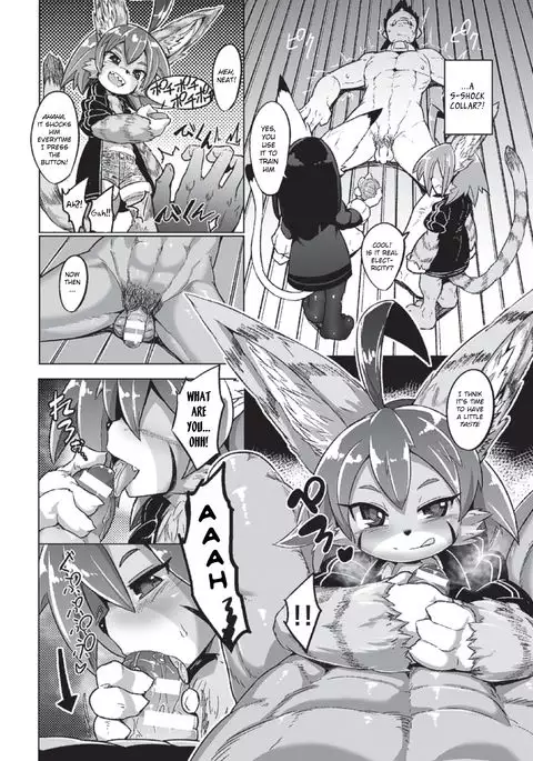 Tadashii Neko no Kawa Rekata