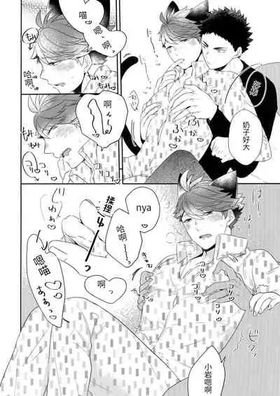 Iwa-chan no Neko ni Naritai 6 | 我想成为小岩的猫6