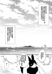 (C92) [DSO (Momoko)] Rabbit Paradise ~afterdays~ [Chinese] [无毒汉化组]