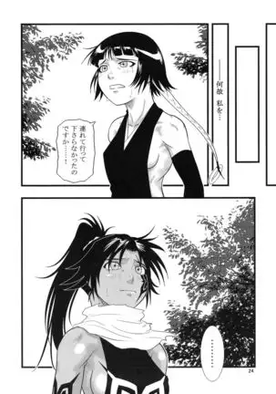 Yoruichi Nyan to Soi Fon no Hon