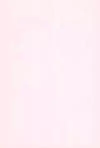 (C56) [Rorichikku IZM (Shishimaru Kenya)] Pretty Ecchi (Ojamajo Doremi)