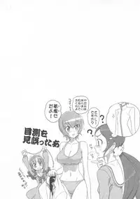 (C79) [Digital Accel Works (INAZUMA.)] INAZUMA SILHOUETTE (Heartcatch Precure!)