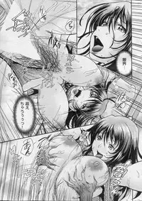 COMIC Shitsurakuten 2013-07