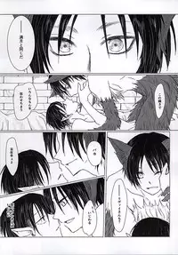 (Kyuushuu Hekigai Chousa Haku) [Oversight (Machiko)] CrazyMoon (Shingeki no Kyojin)