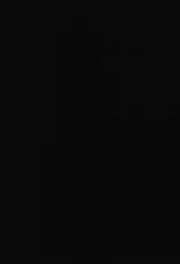 (HaruCC20) [TEN (Akuta)] STEALTH-STORY (Big Hero 6)