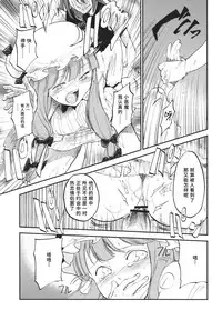 (Reitaisai 10) [Shironegiya (miya9)] Donten Library (Touhou Project) [Chinese] [水土不服汉化组]