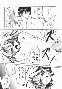 [Benjamin] Stray Sheep