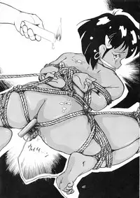 (C38) [PUSSY CAT (Various)] PUSSY CAT Vol.18 Nadia Okuhon (Various)