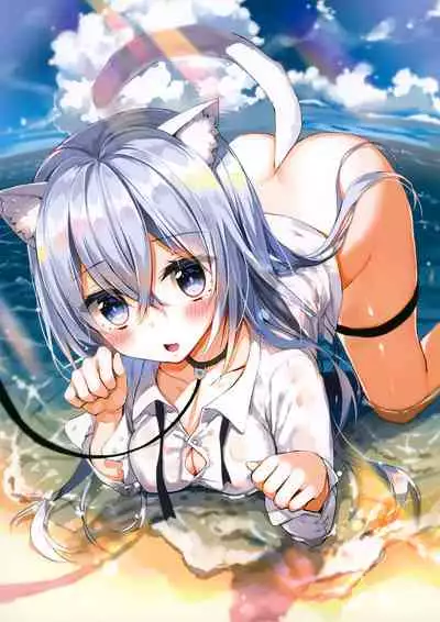 (C94) [Yadapot (Yadapoteto)] Umi de Neko o Hirotta.