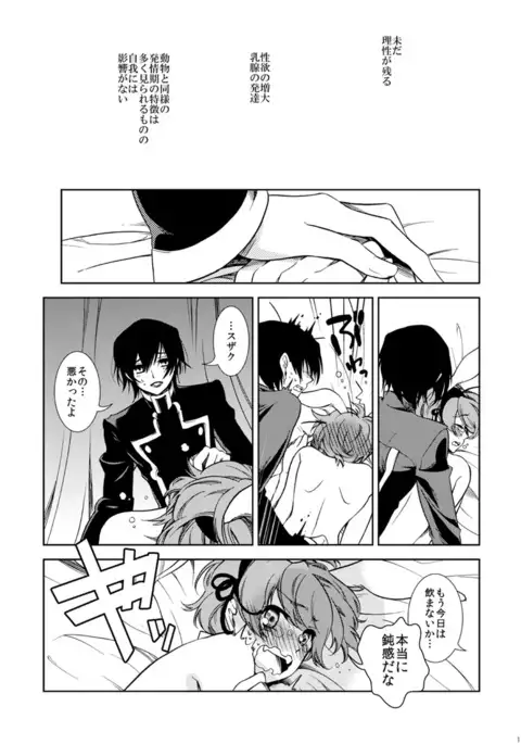 Drosselmeyer no Housekibako