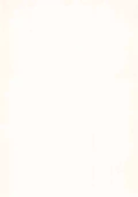 Oshiete! Syaoran-kun