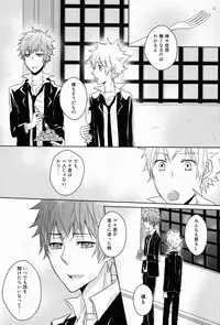 (C80) [Alpenreise (Ayano Ena)] Kiseki (Katekyo Hitman REBORN!)