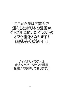 (C77) [Unizo (Unikura)] Sister Complex (Final Fantasy XIII)