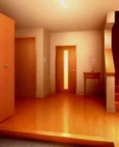 daisukina okāsan o daikiraina aitsura ni netoraremashita .