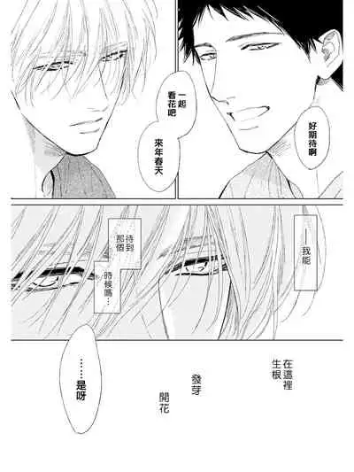 Koko wa Yasashii Niwa | 置身于温柔之庭 Ch. 1-4