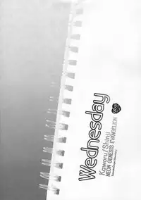 (SUPER21) [YozorairoDrops (Yoko Mawatari)] Wednesday (Neon Genesis Evangelion)