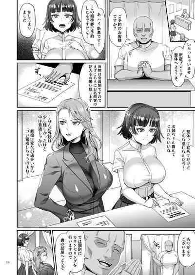 Niijima Shimai Soushuuhen