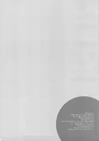 (C76) [THE FLYERS (Naruse Mamoru)] 20090815 (Saki)