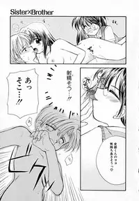 [Usami Wataru] Prism