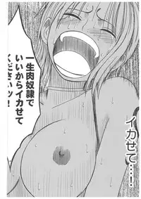 [Crimson Comics (Carmine)] Koukai Soushuuhen 2 (One Piece)