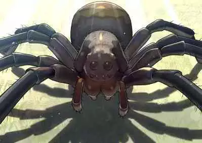 The work of the Insect Detective