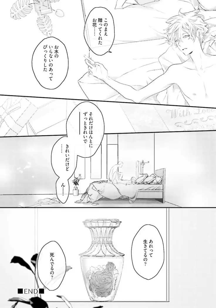 Tennen Jufun Sugar Baby