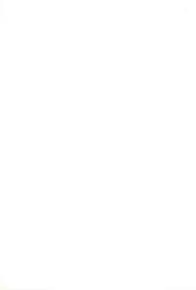 Suki Suki Okosama Style 6