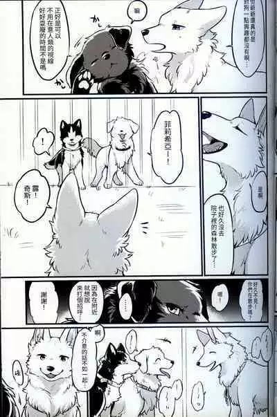 Hakoniwa Jealousy | 箱庭之妒