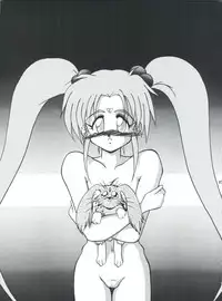 [Team Plus-Y (Various)] PLUS-Y Vol. 14 (Various)