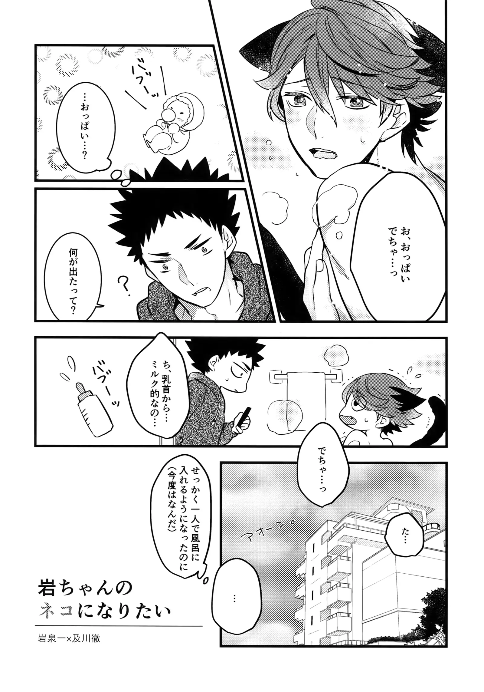 Iwachan no Neko ni Naritai Sairoku-Shuu