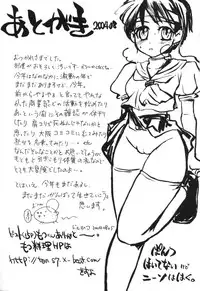 (C66) [Sarurururu (Doru Riheko)] Holic 4 Angel Tail (Street Fighter)