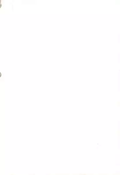 Kissa-Chen Orange Sweets