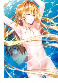 [Yabuki Kentarou] Harem Gold (To Love-ru Darkness)