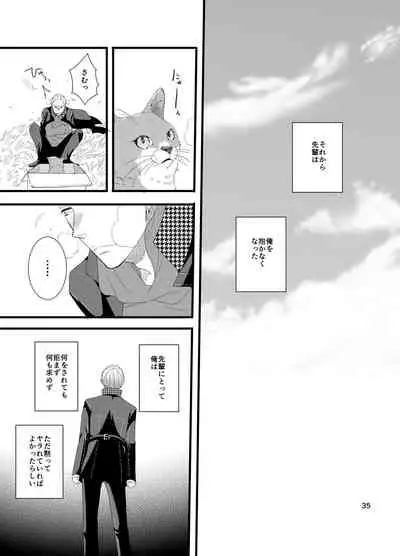 [Otona Ookami (Shimappun)] Kare ni Shitai Hidoi Koto. (Persona 4) [Digital]