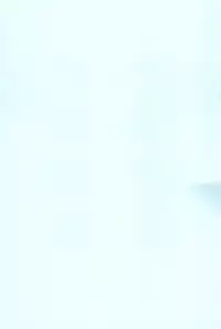 (C59) [Ashinoie (Various)] Hinnyuu Musume Vol. 7 (Various)