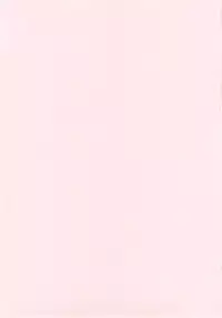 (C78) [ALICE ALLIANCE (Yuuki Arisu)] Tinkle☆Party (Jewel Pet Tinkle☆)