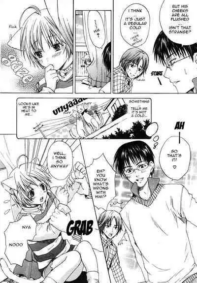 Puchi D VOL. 4 Kemonomimi