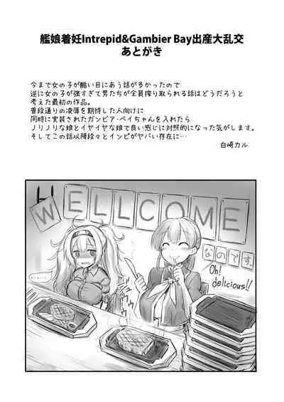 [C101][悪転奏進(黒糖ニッケ)]艦娘着妊 米国艦娘総集編(DL版)