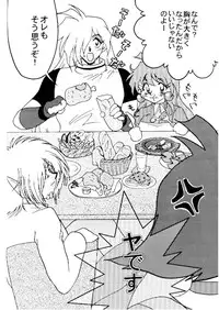 (C57) [Ginmomodou (Mita Satomi)] Slayers Adult 10 (Slayers)