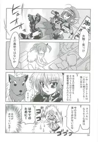 (C76) [PLUM (Kanna)] Mahou Shoujo Magical SEED TROUBLE (Mahou Shoujo Lyrical Nanoha)