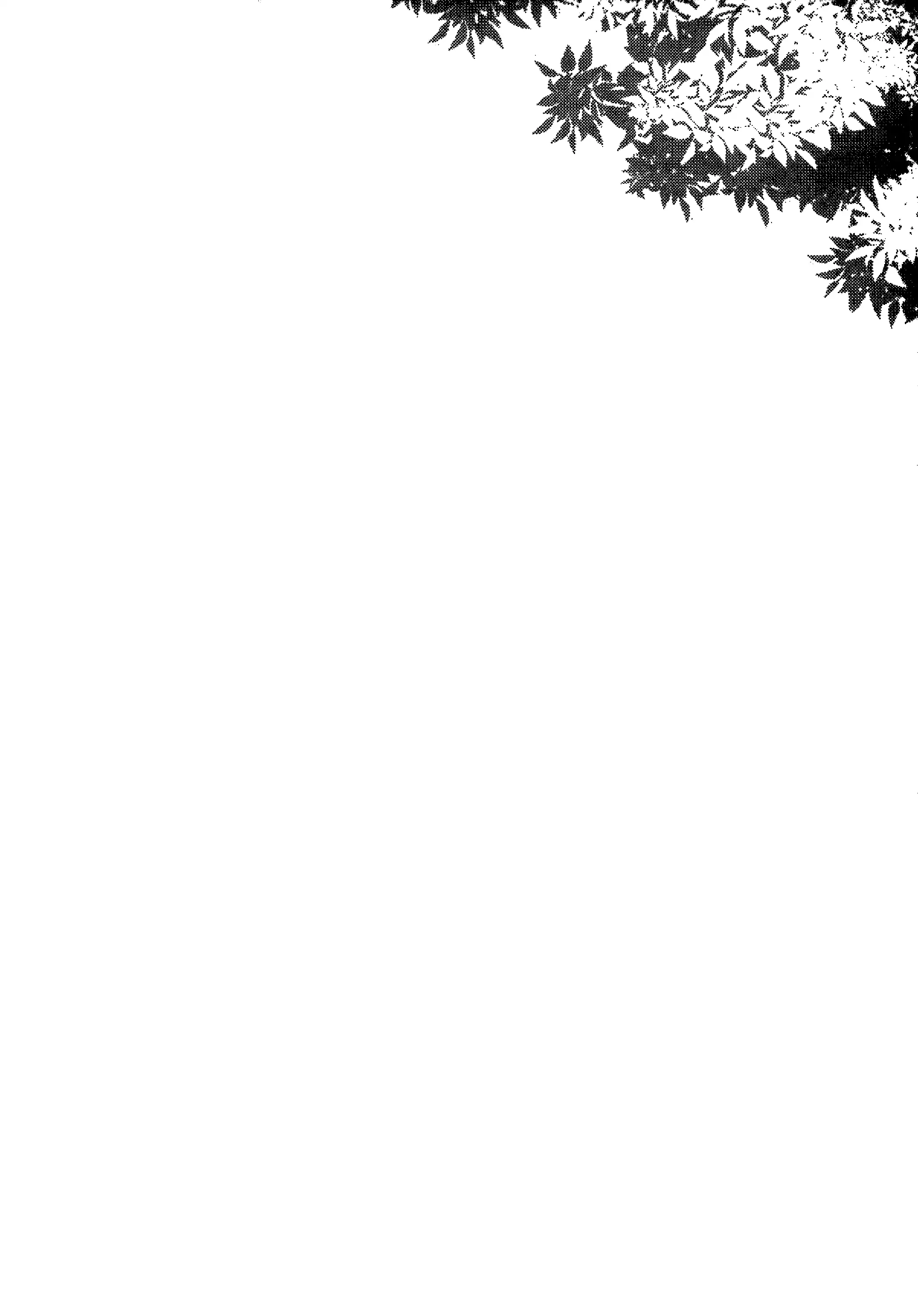 Ane Naru Mono 2 | An Elder Sister 2