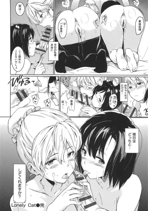 nikutai communication + toranoana tokutensyousasshi