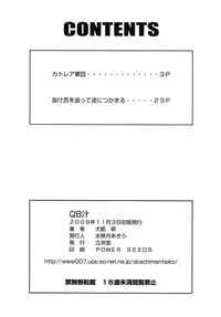 [Rippadou (Inugai Shin)] QB Shiru (Queen's Blade)