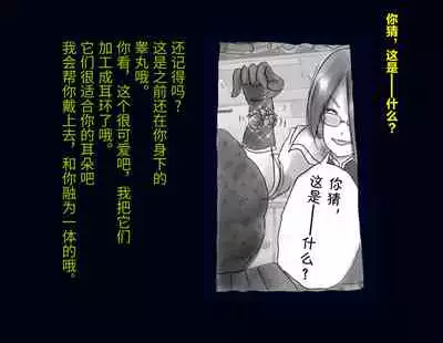 Kyousei Nyotaika Ani