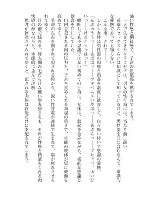 Kouki naru Majo Clauzea: Inda no Itan Shinmon