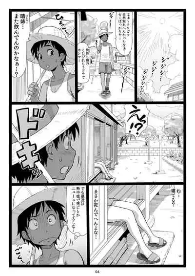 Natsuyasumi no Omoide Joukan